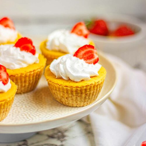 Mini vegan vanilla cheesecakes